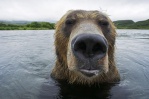 Михаил
