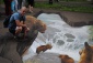 Усачев Максим Александрович - профиль игрока