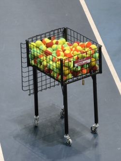 Селенкина  Полина 